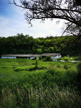 The rustic building, with a thatched roof, sits peacefully in a vibrant green landscape. Surrounding trees and foliage create a serene atmosphere in the afternoon light.
