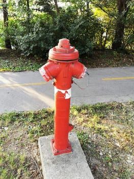 A vibrant red fire hydrant is prominently situated next to a paved path, with green foliage providing a natural backdrop on a clear day.