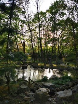 The tranquil pond, encircled by tall trees, captures the soft evening light, showcasing nature's beauty in a peaceful park area, inviting quiet reflection.
