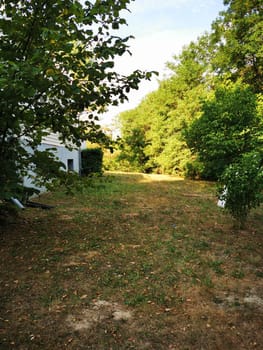 The scene captures a serene backyard area with well-maintained grass and trees, basking in warm sunlight during a peaceful afternoon, inviting relaxation and reflection.
