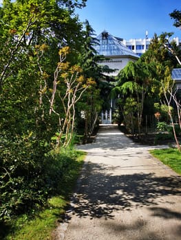 A clear sky highlights a peaceful pathway surrounded by vibrant green plants, leading to a beautiful greenhouse in an urban botanical garden.