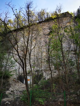 A chalk cliff side rises beside sparse vegetation, with trees reaching toward the sky under clear blue skies. The sun casts a warm glow on the natural surroundings.