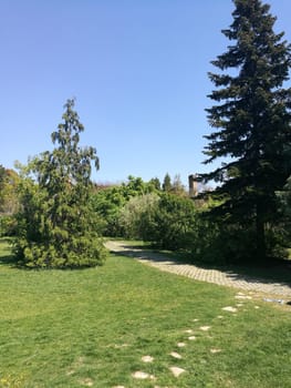 Bright sunshine illuminates a garden pathway surrounded by vibrant trees and lush foliage, creating a tranquil atmosphere ideal for a peaceful stroll.