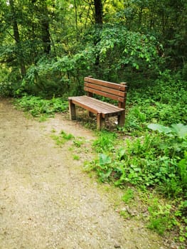 A wooden bench stands alone surrounded by vibrant green foliage along a quiet forest trail. The area is serene, perfect for a peaceful rest amidst nature.