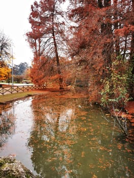 A peaceful park scene showcases a calm pond reflecting the vivid colors of autumn leaves from surrounding trees, creating a serene atmosphere in nature.