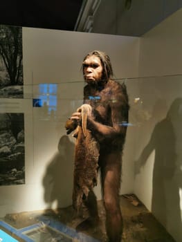 The exhibit features a detailed model of a prehistoric human, displaying the characteristics of early hominins, surrounded by informative displays about evolution.
