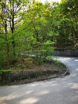 A serpentine road meanders through a vibrant green forest, bathed in sunlight, inviting exploration and peaceful outdoor experiences amidst nature.
