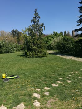 A bright, sunny day in a green park features a small bike lying alone next to a lush tree, highlighting the tranquil setting perfect for play and relaxation.
