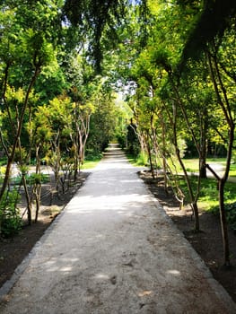 The pathway stretches ahead, bordered by tall, green trees and vibrant foliage, creating a tranquil ambiance perfect for leisurely strolls on a bright day.