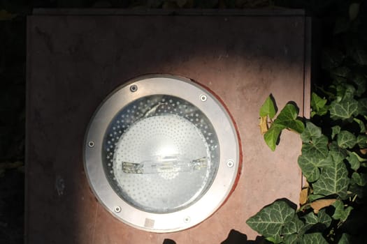 Bright round outdoor light fixture illuminates a serene garden space, partially hidden by lush ivy and basking in warm daylight, creating a tranquil atmosphere.