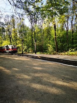 A train moves slowly through a lush green forest, with trees surrounding the tracks. The sun illuminates the scene, creating a peaceful atmosphere.