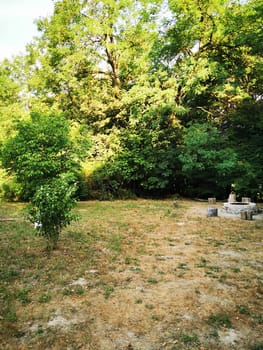 A peaceful forest clearing in summer, featuring a well-maintained grassy area and vibrant green trees, ideal for relaxation or a quiet retreat in nature.