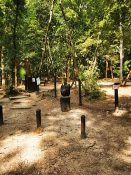 A bear sculpture is surrounded by trees in a tranquil forest setting, inviting visitors to explore the natural beauty and enjoy outdoor activities.