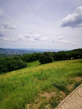 A vast green field stretches out toward hills, with trees dotting the landscape. In the distance, a city can be seen beneath a cloudy sky, creating a tranquil atmosphere.