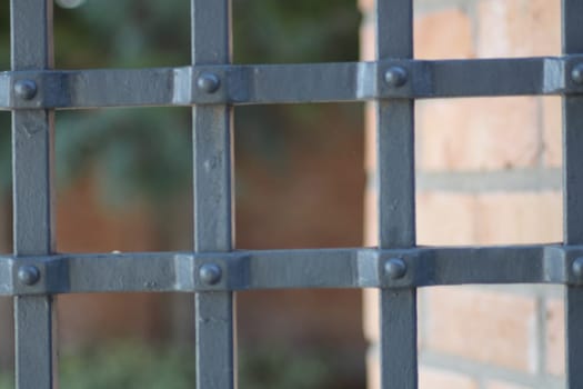 The close-up showcases a wrought iron gate featuring a crisscross pattern, set against a soft-focus brick wall in a tranquil outdoor environment, illuminated by daylight.