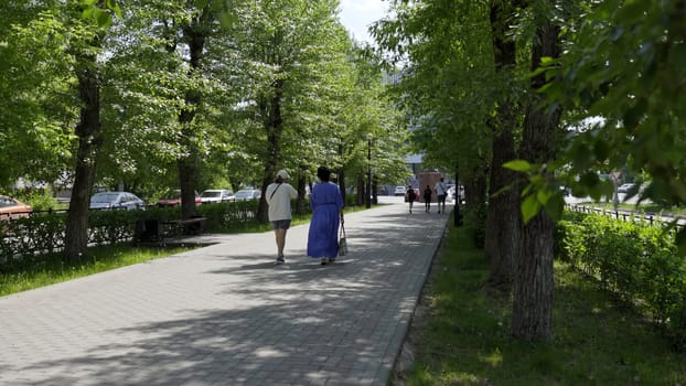 A tranquil view of a winding road lined with lush trees and vibrant greenery, inviting exploration and adventure. Clip