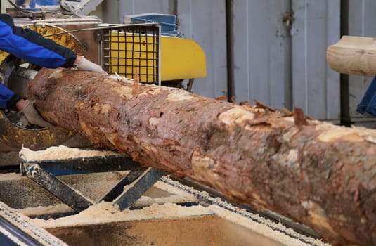 A worker uses machinery to process a large log, creating sawdust in a lumber yard during bright daylight.