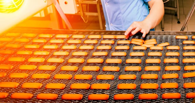 A worker inspects a long conveyor belt filled with freshly baked cookies, ensuring quality control in the production process at a confectionery factory.
