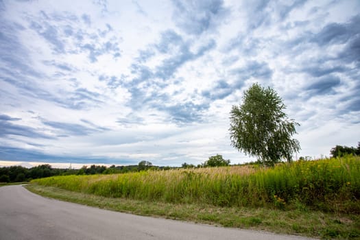 A solitary tree stands majestically in a vast grassy field, beautifully framed by a dynamic, dramatic cloudy sky