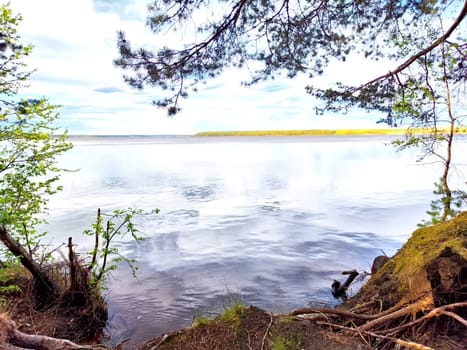 Tranquil lake reflecting trees and sky on a clear day.