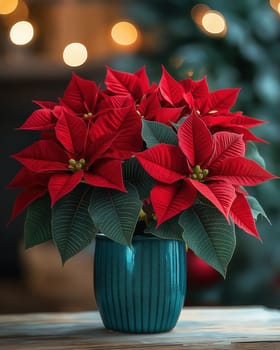 A poinsettia in a vase sits on a table against a blurred background. Selective focus.
