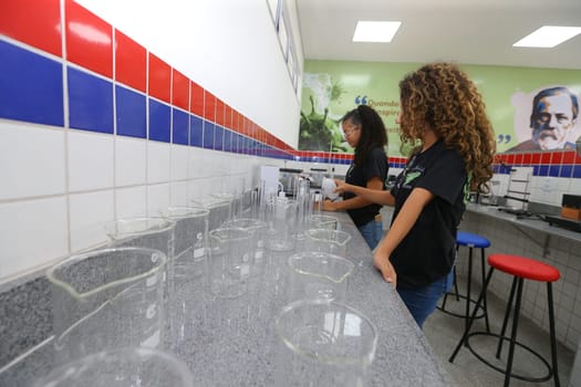 pilao arcado, bahia, brazil - november 13, 2024: students from a public school in the state of Bahia are seen in a science lab