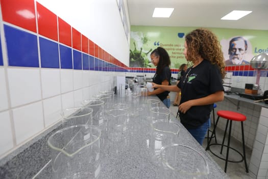 pilao arcado, bahia, brazil - november 13, 2024: students from a public school in the state of Bahia are seen in a science lab