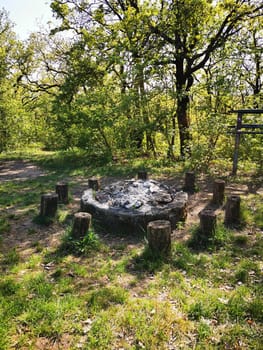 The inviting fire pit sits at the center of a woodland clearing, encircled by sturdy wooden logs. Sunlight filters through the trees, creating a peaceful atmosphere.