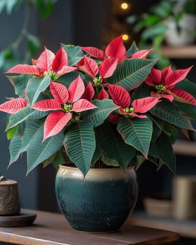 A poinsettia in a vase sits on a table against a blurred background. Selective focus.