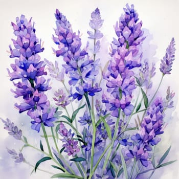 Charming depiction of lavender blooms with soft watercolor strokes, highlighting rich purples and lush greenery. Ideal for floral designs, creative projects, and tranquil home decor