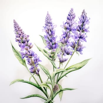 Charming depiction of lavender blooms with soft watercolor strokes, highlighting rich purples and lush greenery. Ideal for floral designs, creative projects, and tranquil home decor