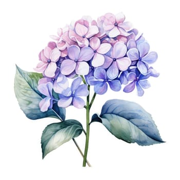 Stunning watercolor illustration of hydrangea blossoms in vibrant purple and pink hues, accented by lush green leaves. Perfect for floral designs, artistic projects, and elegant home decor