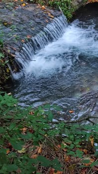 nature waterfall. stream water, forest background, green leaves summer autumn. High quality photo