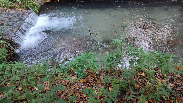 nature waterfall. stream water, forest background, green leaves summer autumn. High quality photo