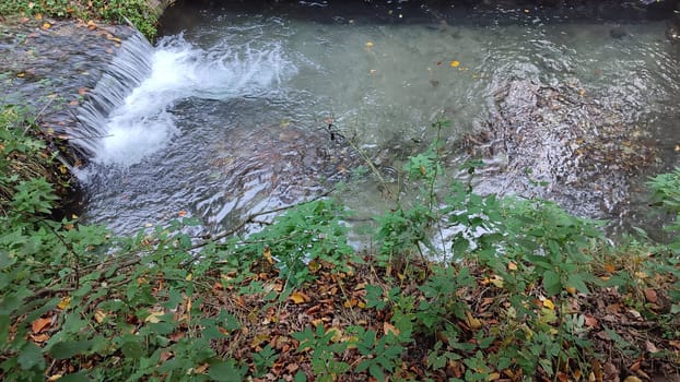 nature waterfall. stream water, forest background, green leaves summer autumn. High quality photo