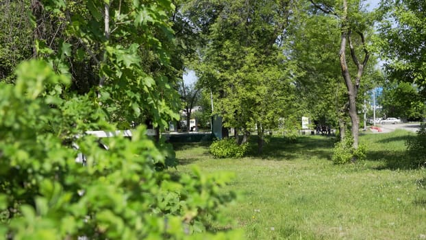 A vibrant park with diverse trees and greenery, perfect for outdoor relaxation and enjoyable activities. Clip