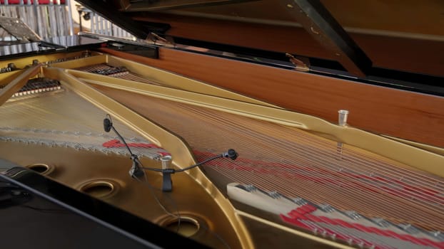 This is a detailed view of the intricate interior of a grand piano, showcasing its strings and hammers in action. Clip