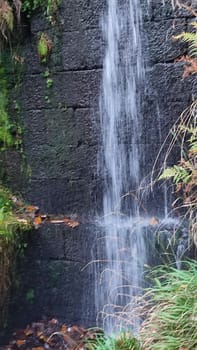 nature waterfall. stream water, forest background, green yellow leaves summer autumn. High quality photo