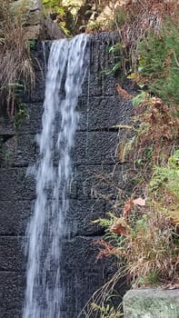 nature waterfall. stream water, forest background, green yellow leaves summer autumn. High quality photo