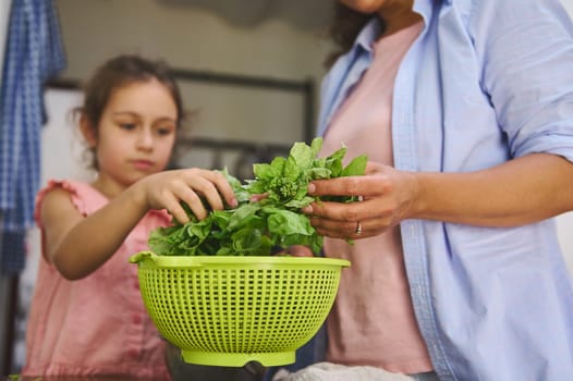 A mother and daughter are seen collaborating in a kitchen, selecting fresh greens for a salad. This intimate moment showcases family bonding, healthy living, and cooking with fresh ingredients.
