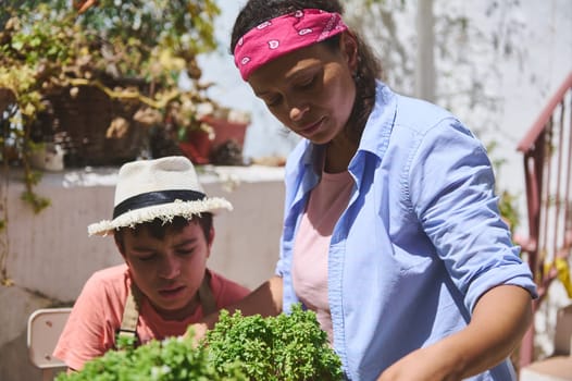 A mother and son are engaged in gardening on a bright sunny day, enjoying outdoor time together. The scene captures a family bond and the joy of nurturing plants.