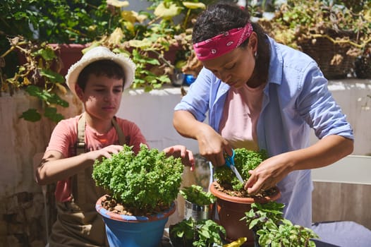 A mother and son enjoy a sunny day gardening. They are focused on pruning and nurturing plants, sharing a moment of learning and collaboration. Perfect for family and gardening concepts.