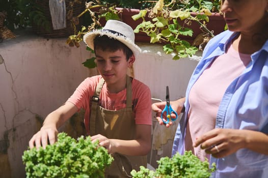 A young boy wearing a hat tends to a garden with an adult's help, enjoying an outdoor activity on a sunny day. He is focused on the plants with garden tools.