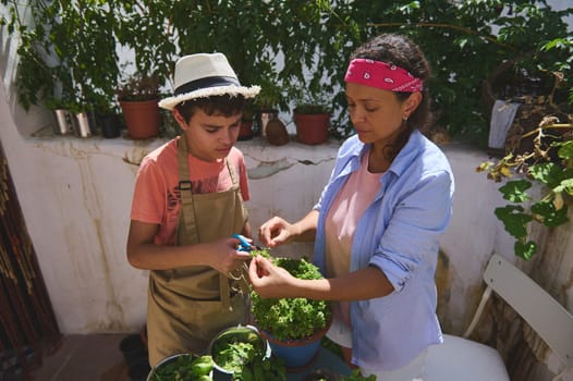 A woman and young boy nurture plants together, enjoying quality family time in a sunlit garden. Their activity fosters a connection with nature and each other, showcasing love and teamwork.