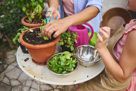 A child and adult gardening together, trimming plants in pots on a patio. Teaching, nurturing, and learning about nature create a bonding experience in this outdoor activity.