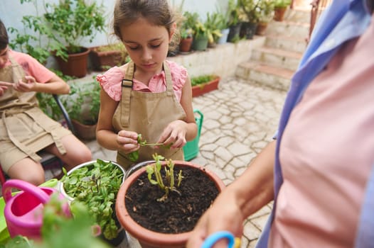 A young girl in an apron focuses on gardening in a patio setting, guided by an adult. Surrounded by pots and plants, the scene conveys learning, nurturing, and nature.