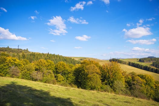 Abstract mountainside with trees. The Carpathian Mountains. Ukraine.