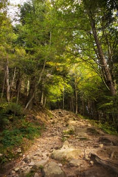 very beautiful autumn panoramas of the Carpathians, Ukraine.