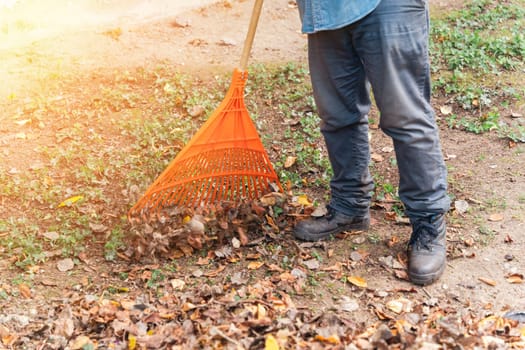 cleaning of fallen autumn leaves. A rake and a pile of fallen leaves on the lawn in the autumn park. Municipal city services clean up the city. Autumn