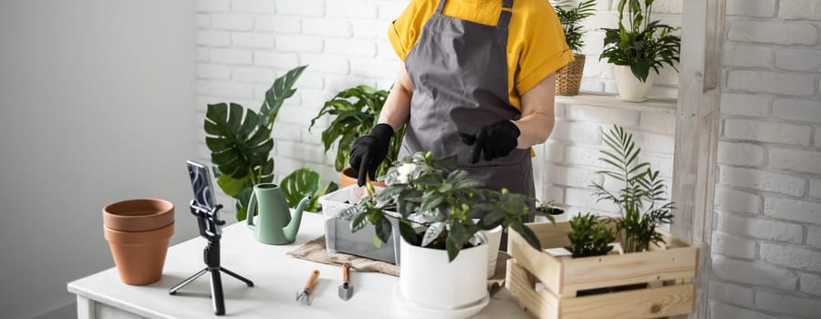 Relaxing home gardening. Smiling middle aged woman in black gloves with potted plant records gardening video blog in modern house - blogging and florist vlog influencer.